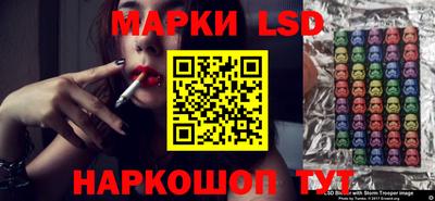 гидра Новозыбков