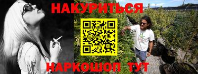 гидра Новозыбков
